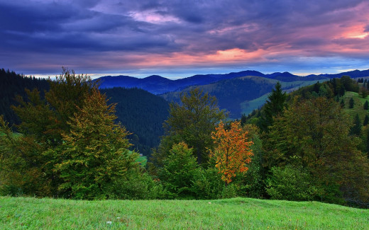 509878 (a): :2560x1600